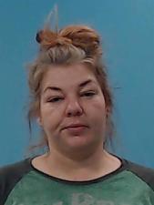 Primary photo of Monica Lynn Wolfe - Please refer to the physical description