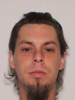 Primary photo of Brandon James Clary - Please refer to the physical description