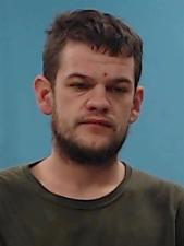 Primary photo of Levi Darrick McGee - Please refer to the physical description