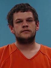 Primary photo of Levi Darrick McGee - Please refer to the physical description