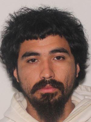Primary photo of Emanuel  Rangel-Lemus - Please refer to the physical description