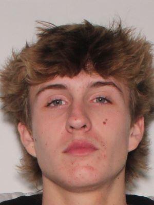 Primary photo of Mason Dean Sullivan - Please refer to the physical description