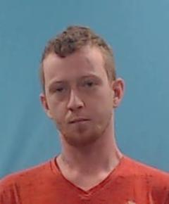 Mugshot of Hall, Michael Robert
