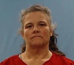 Mugshot of Johnson, Angela Faye