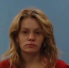 Mugshot of Nellesen, Leigh Frances
