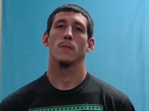 Warrant photo of BRYAN ANDREW LEWIS